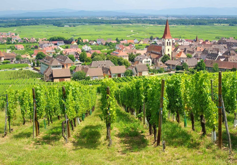 Domaine Pierre Adam