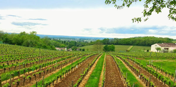Château Moya