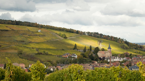 Vins Vincent Stoeffler