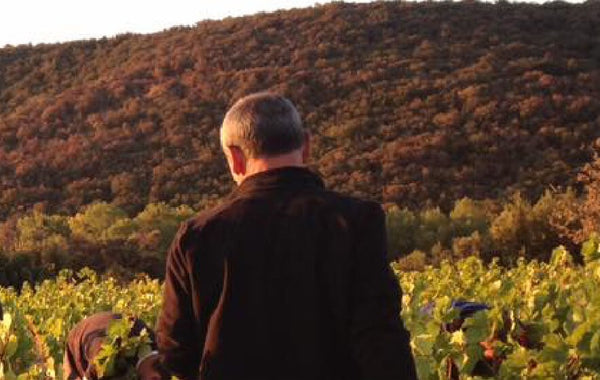 Domaine Sol Payré