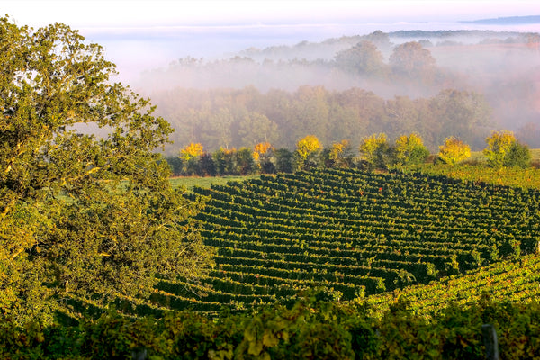 Domaine Sergent