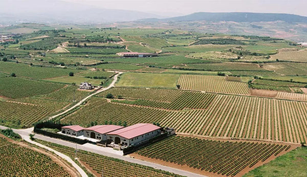 Bodegas y Viñedos Heras Cordon