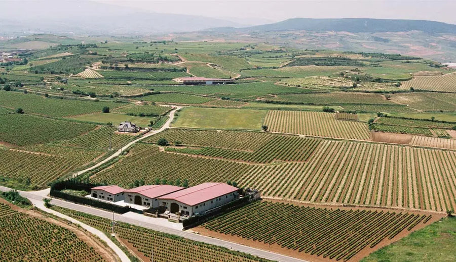 Bodega en wijngaarden van Heras Cordón in Fuenmayor, Rioja