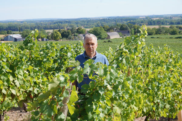 Domaine des Ruaults