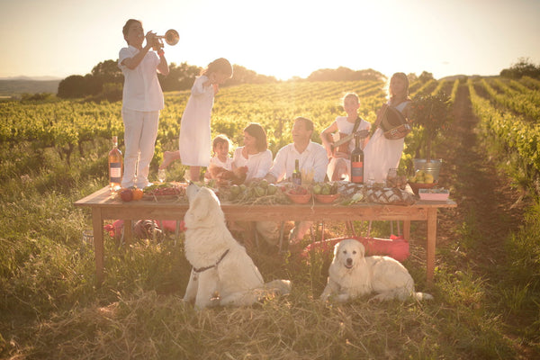 Domaine Allegria