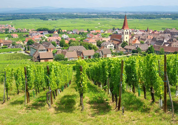 Domaine Pierre Adam