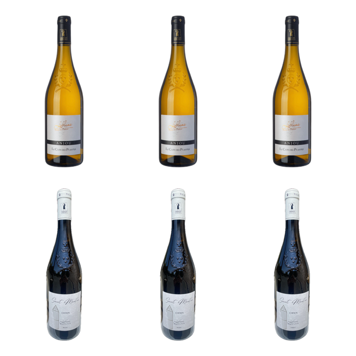 De flessen in Twee Anjou blancs van Domaine Leblanc - les Closserons