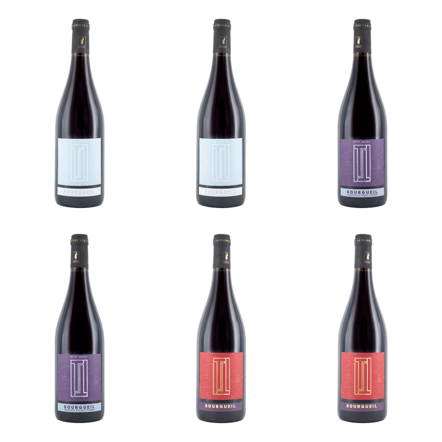 Drie Bourgueils van Domaine du Petit Bondieu
