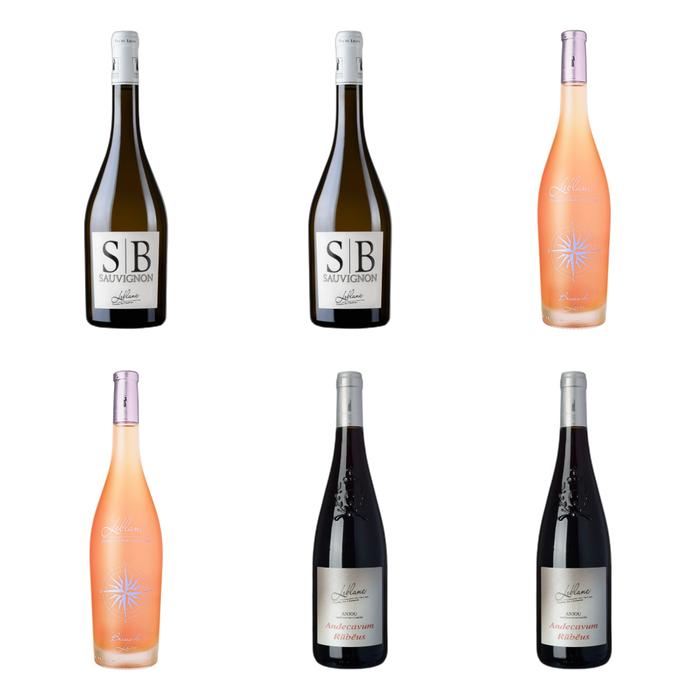 De flessen in Wit, rosé en rood van Domaine Leblanc - les Closserons