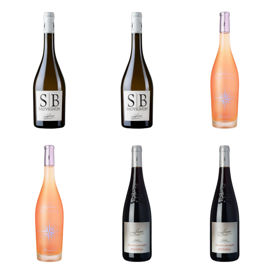 Wit, rosé en rood van Domaine Leblanc - les Closserons