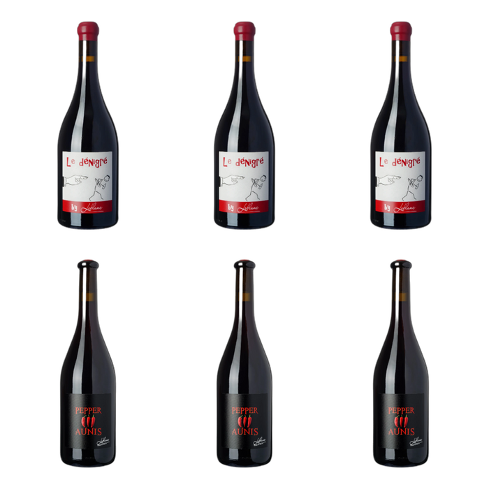 De flessen in Twee peperige rode druiven van Domaine Leblanc - les Closserons