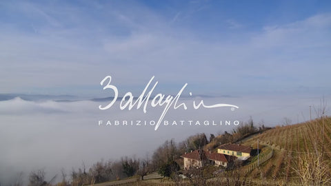 Wijngaard Battaglino in Piemonte - sfeervideo Italiaanse wijn