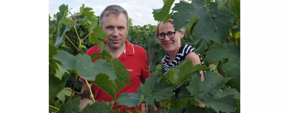 Domaine des Ruaults