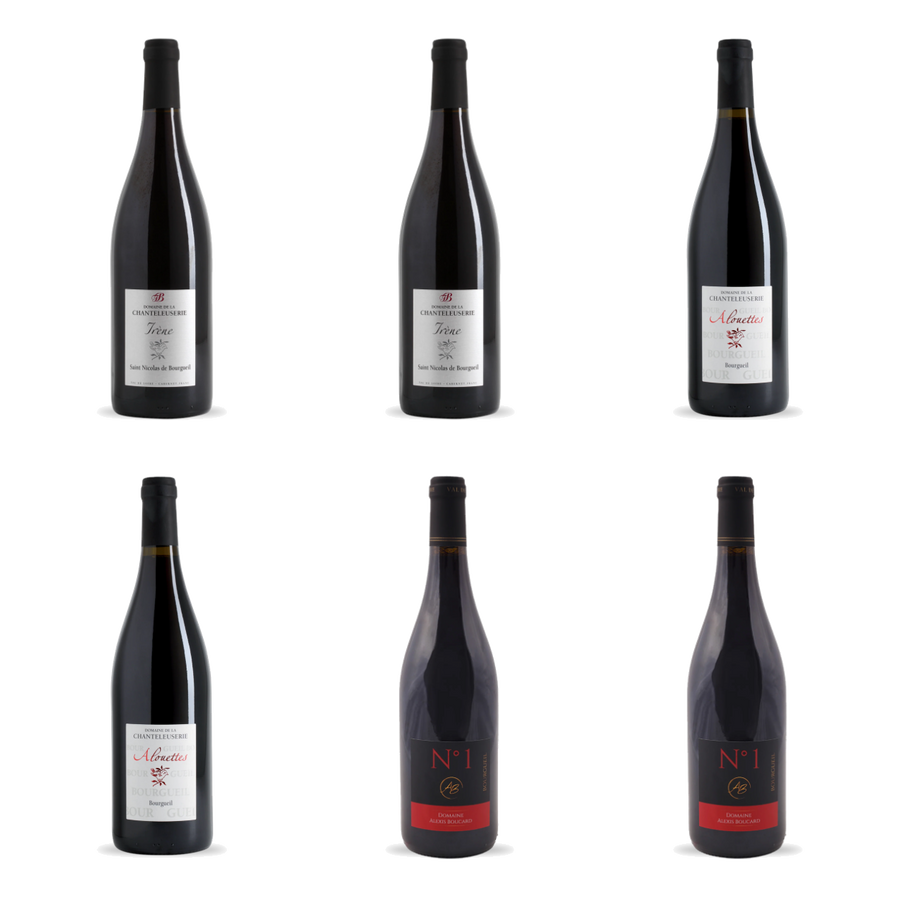 Soepel rood vergelijken van Domaine de la Chanteleuserie