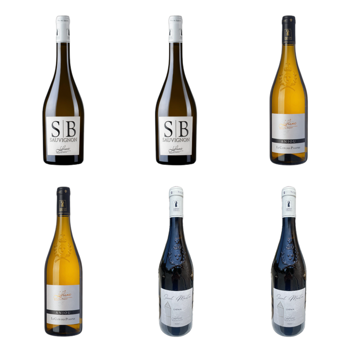 De flessen in Drie witte keuzes van Domaine Leblanc - les Closserons